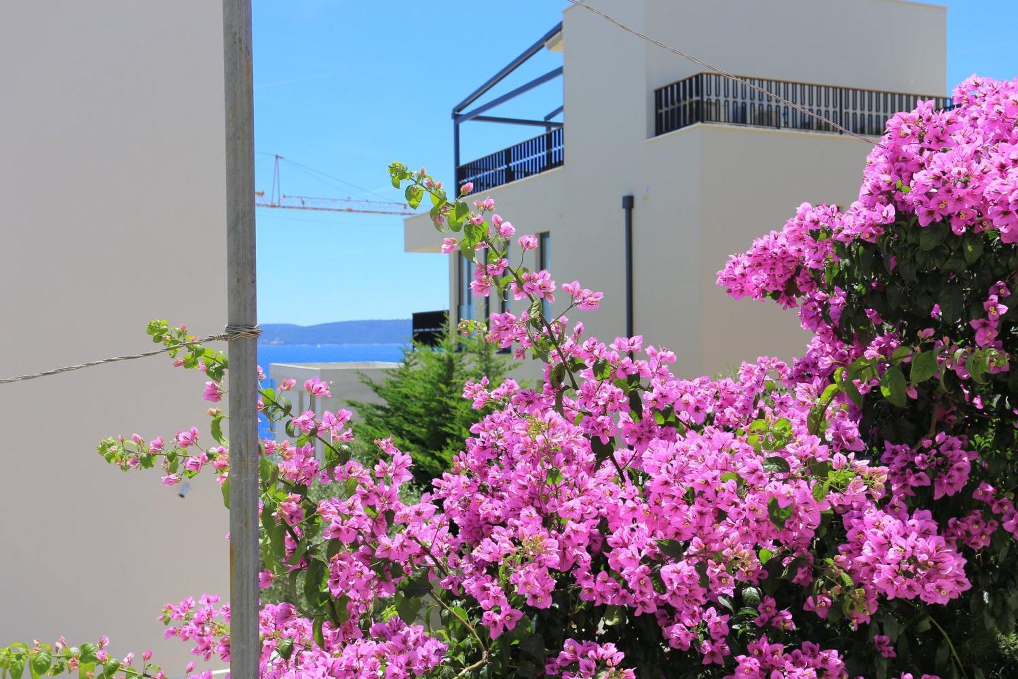 Family Friendly Apartments With A Swimming Pool Businci, Ciovo - 11232 Trogir Exterior photo